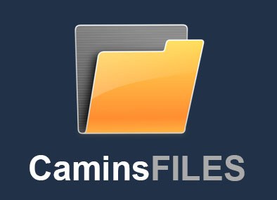 logo-CaminsFILES_0.jpg