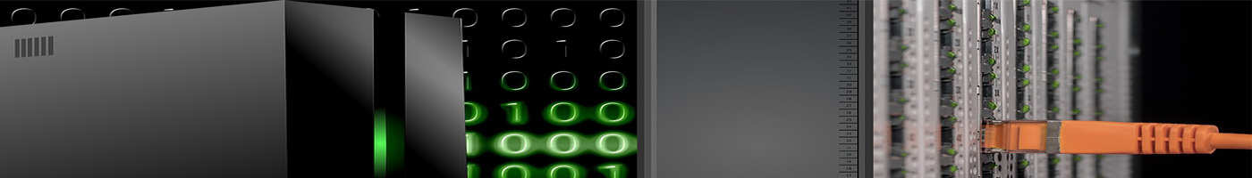 Working station (CaminsWS)